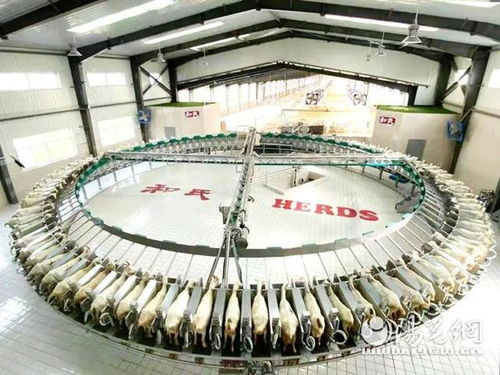 陇县食品加工园 打造全产业链国家级现代农业产业园及烟草零售发展路径